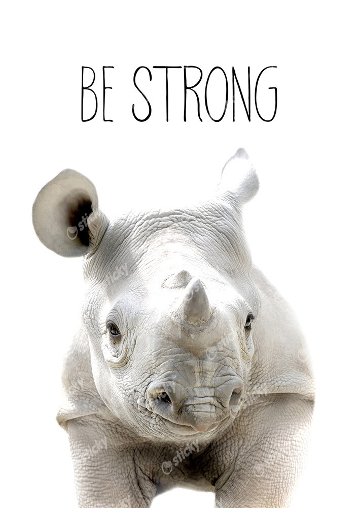 Πινακας σε καμβά CUTE RHINO