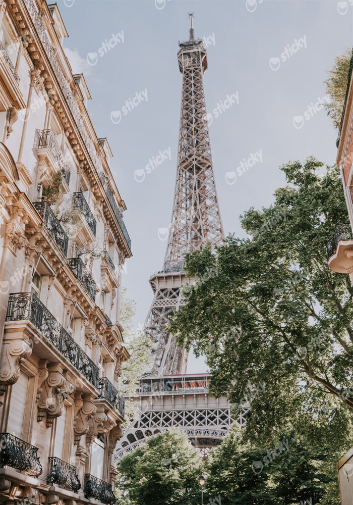 Πινακας σε καμβά PARIS EIFFEL TOWER
