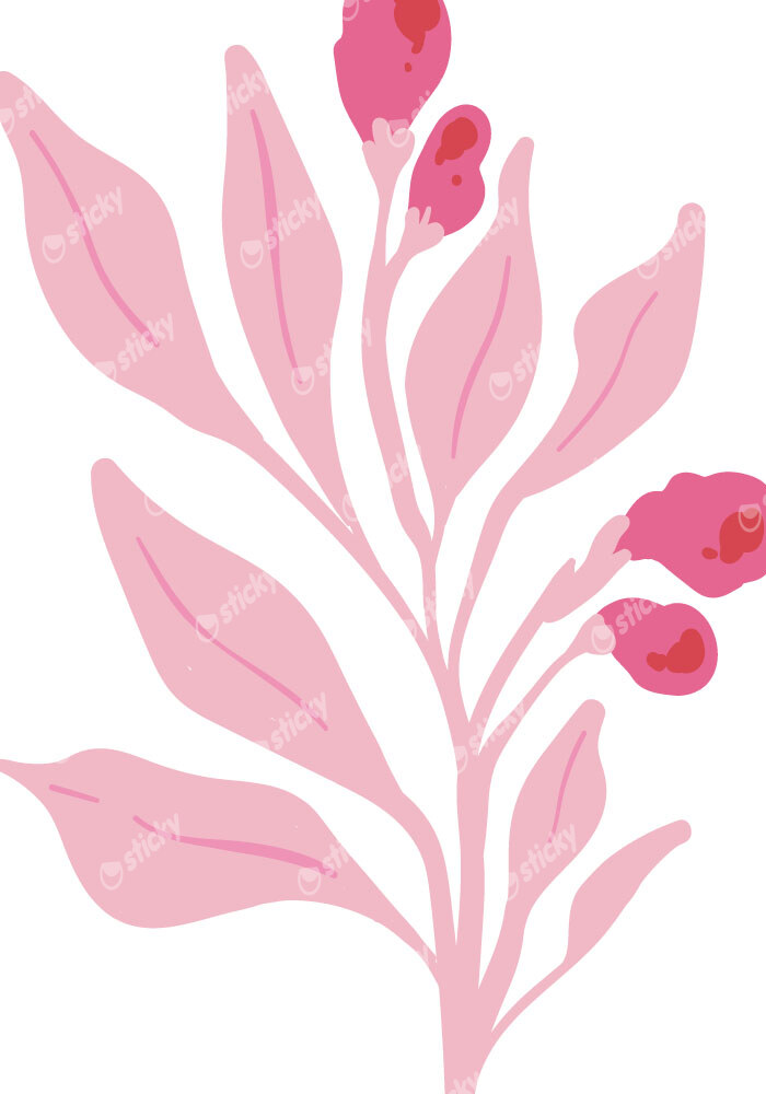 Πόστερ MATISSE STYLE BOTANICAL PINK FLOWERS