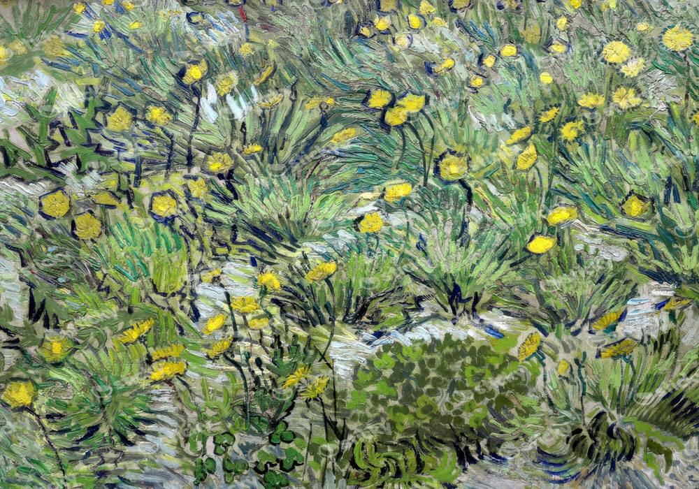 Πινακας σε καμβά VAN GOGH - LES PISSENLITS