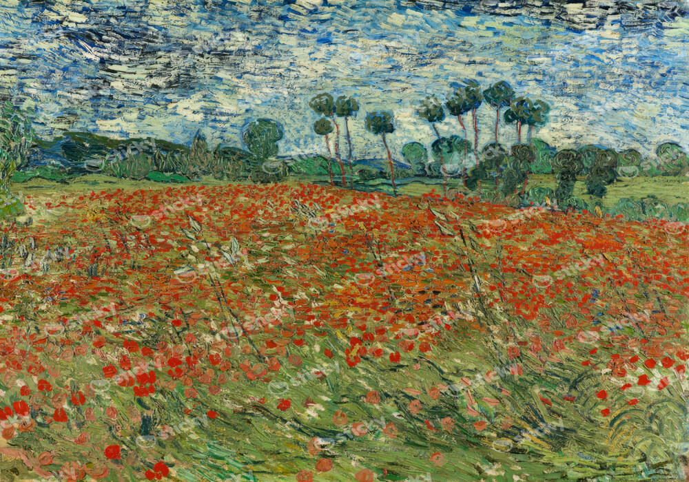 Πινακας σε καμβά VAN GOGH - FIELD OF POPPIES 1980