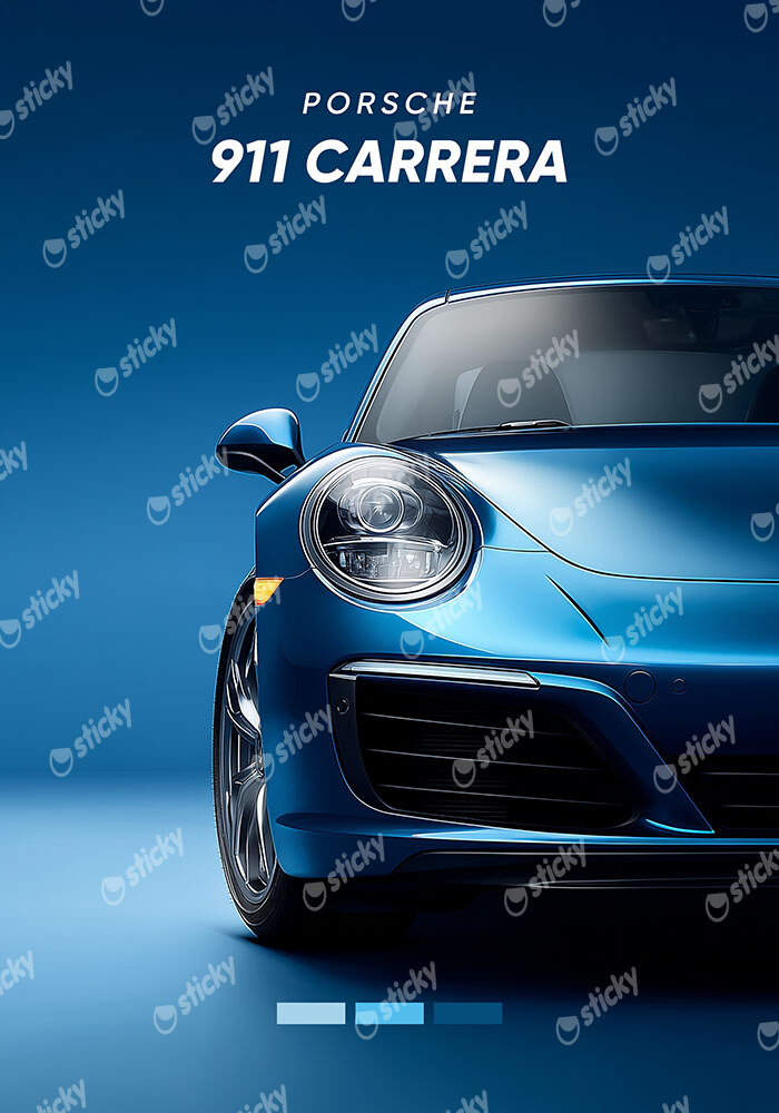 Πινακας σε καμβά PORSCHE 911 CARRERA