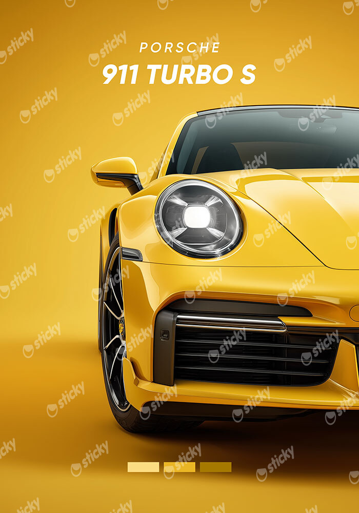 Πινακας σε καμβά PORSCHE 911 TURBO S