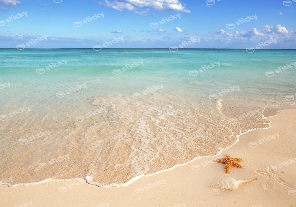 Πινακας σε καμβά CARIBBEAN BEACH