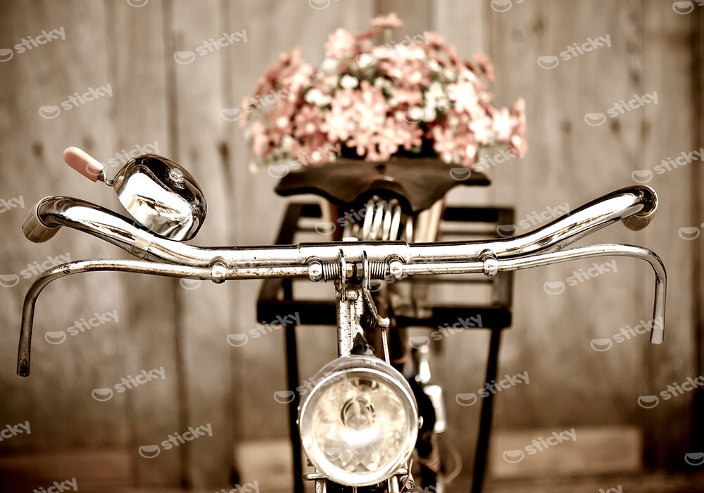 Πινακας σε καμβά LOVE BIKE