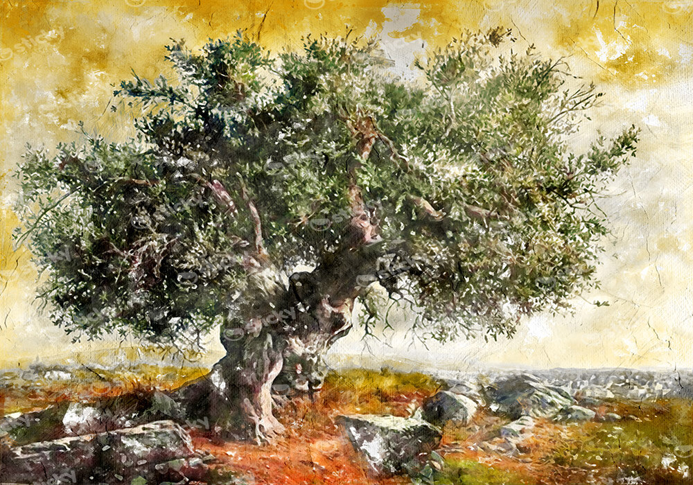 Πινακας σε καμβά OLIVE TREE PAINTING