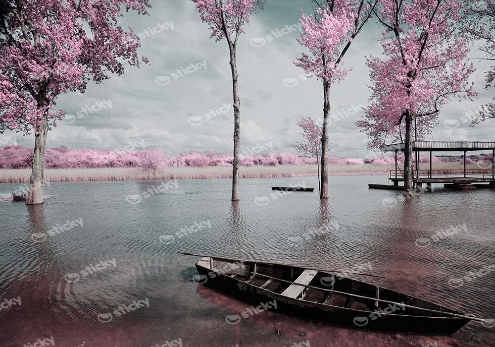 Πινακας σε καμβά PINK LAKE BOAT