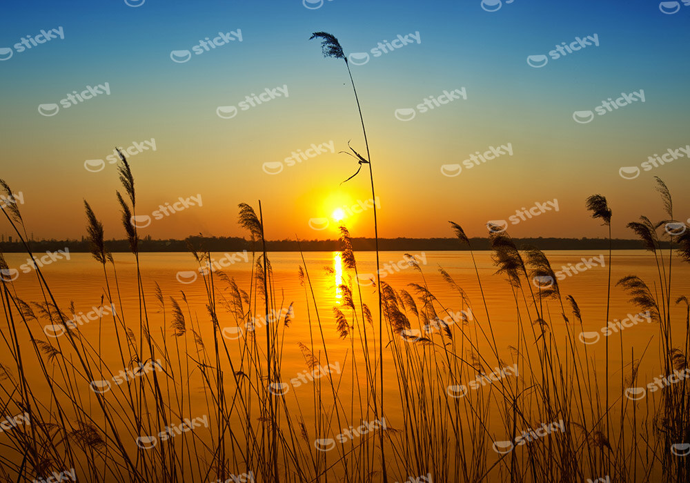 Πινακας σε καμβά SUNSET 1