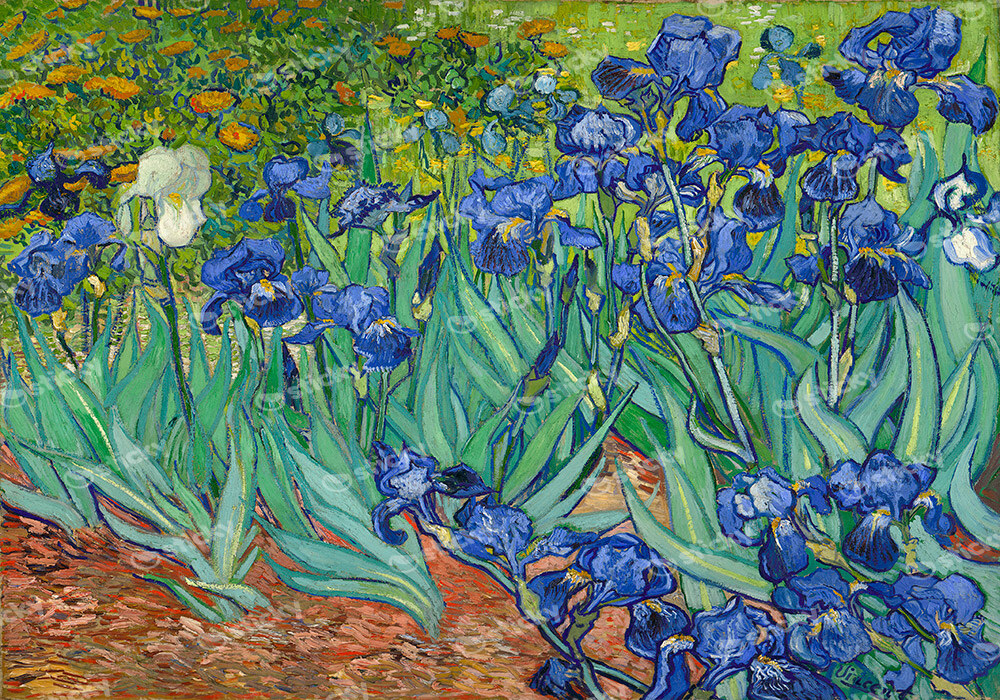Πινακας σε καμβά VAN GOGH - IRISES