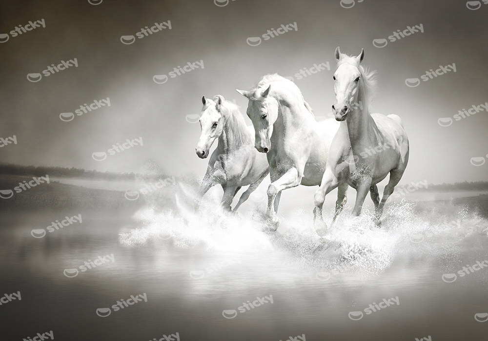 Πινακας σε καμβά WILD HORSES