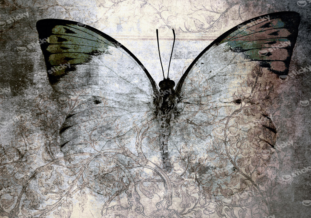 Πινακας σε καμβά ABSTRACT BUTTERFLY