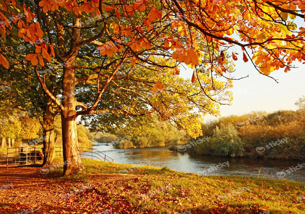 Πινακας σε καμβά BEAUTIFUL FALL PARK