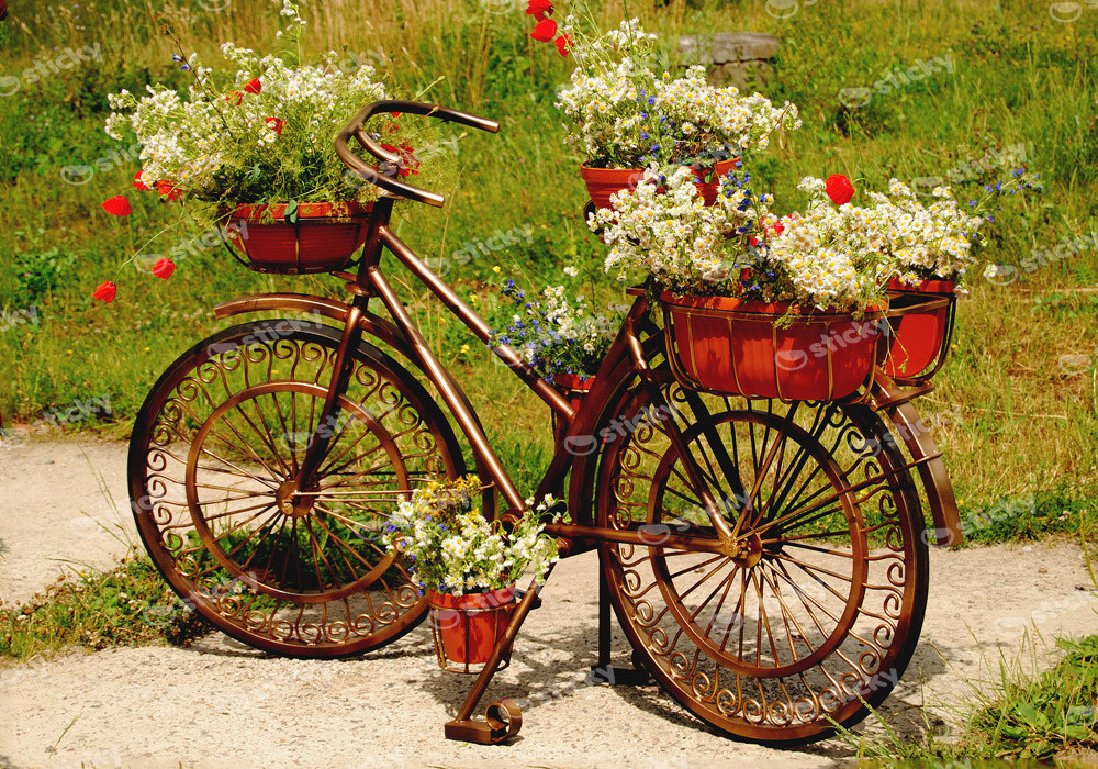 Πινακας σε καμβά FLOWERS BIKE