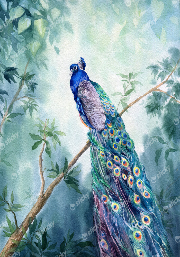 Πινακας σε καμβά PEACOCK PAINTING 2