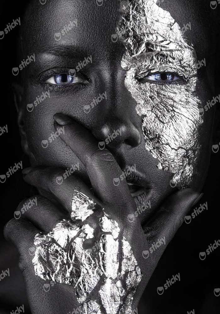 Πινακας σε καμβά SILVER FACE