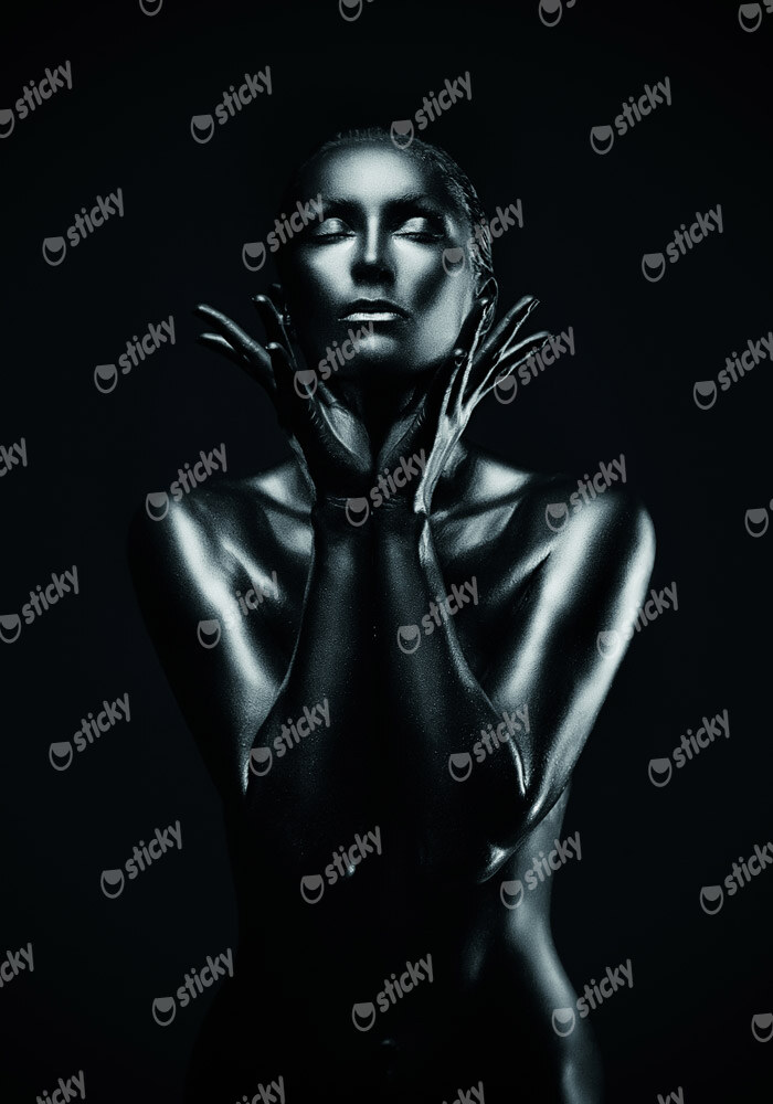 Πινακας σε καμβά SILVER LADY