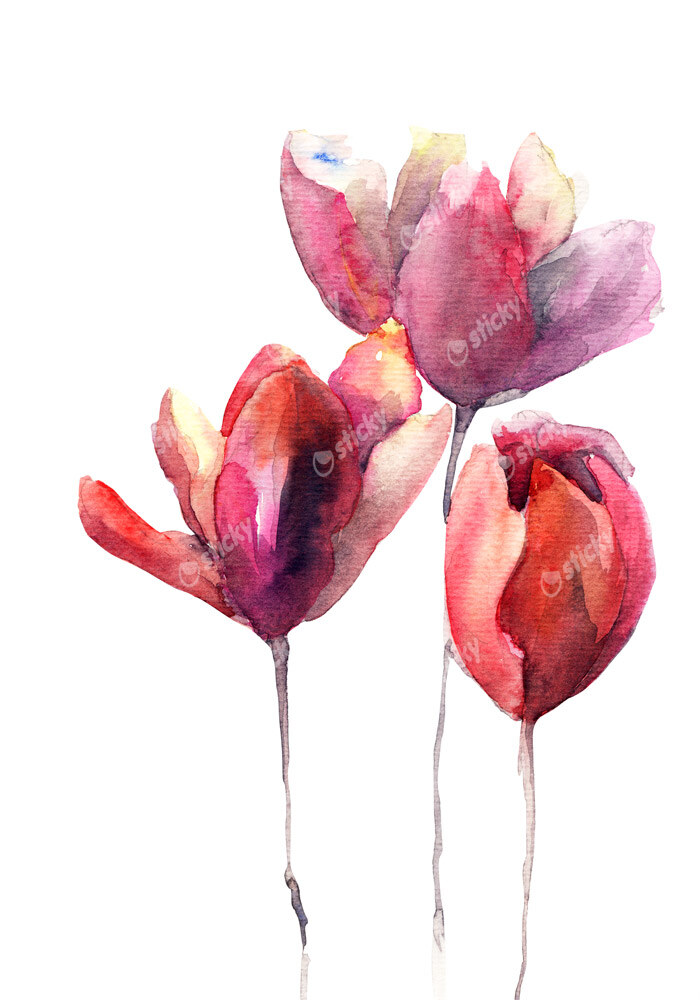 Πινακας σε καμβά TULIPS FLOWERS WATERCOLOR