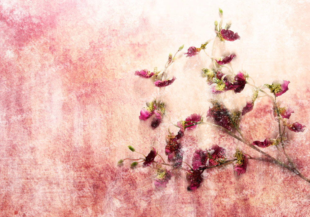 Πινακας σε καμβά TWIG OF FLOWERS ON GRUNGE BACKGROUND