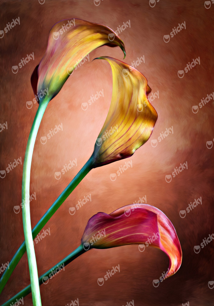 Πινακας σε καμβά ELEGANT FLOWERS