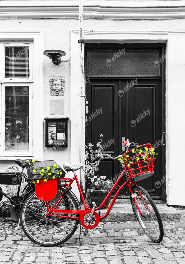 Πινακας σε καμβά RED BIKE 2