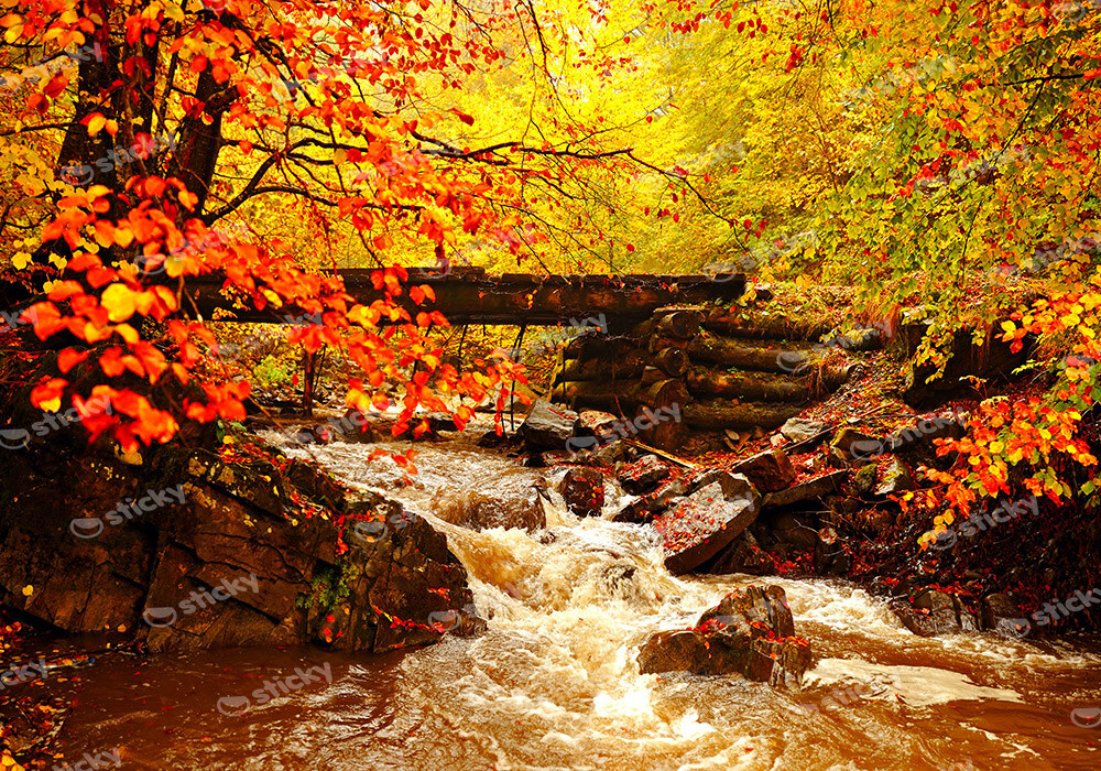 Πινακας σε καμβά AUTUMN RIVER
