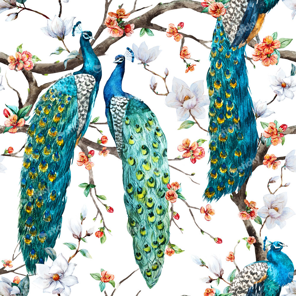 Πινακας σε καμβά PEACOCKS