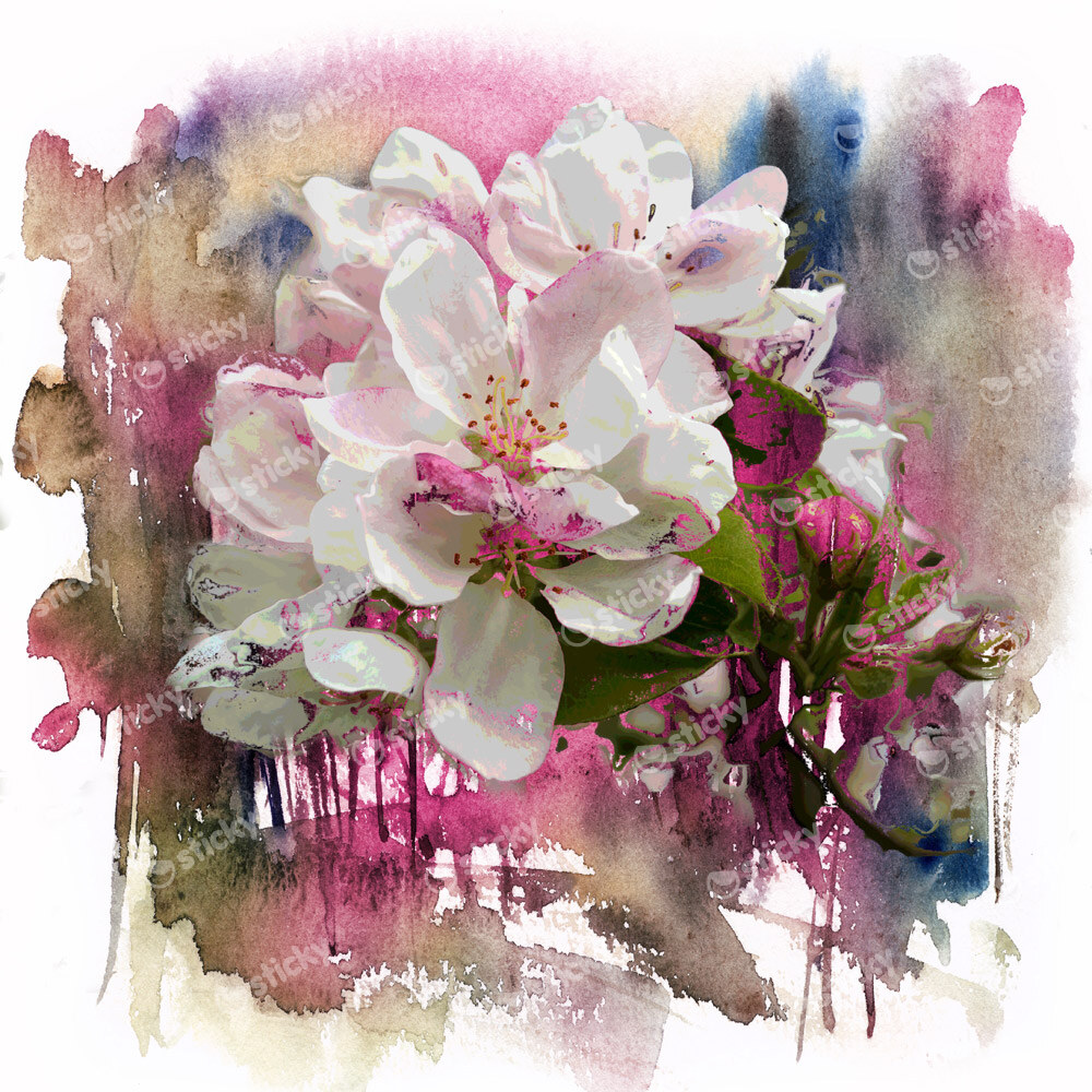 Πίνακας Τετράγωνος SPRING FLOWERS PINΚ