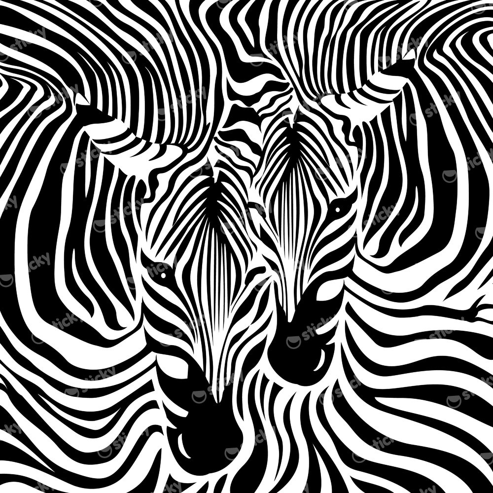 Πίνακας σε καμβά ZEBRA COUPLE BACKGROUND