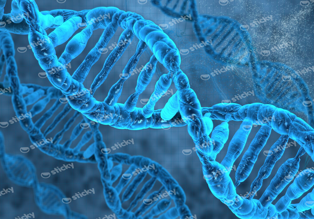 Πινακας σε καμβά DNA
