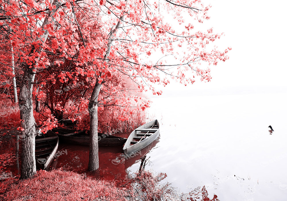 Πινακας σε καμβά FANTASY LAKE