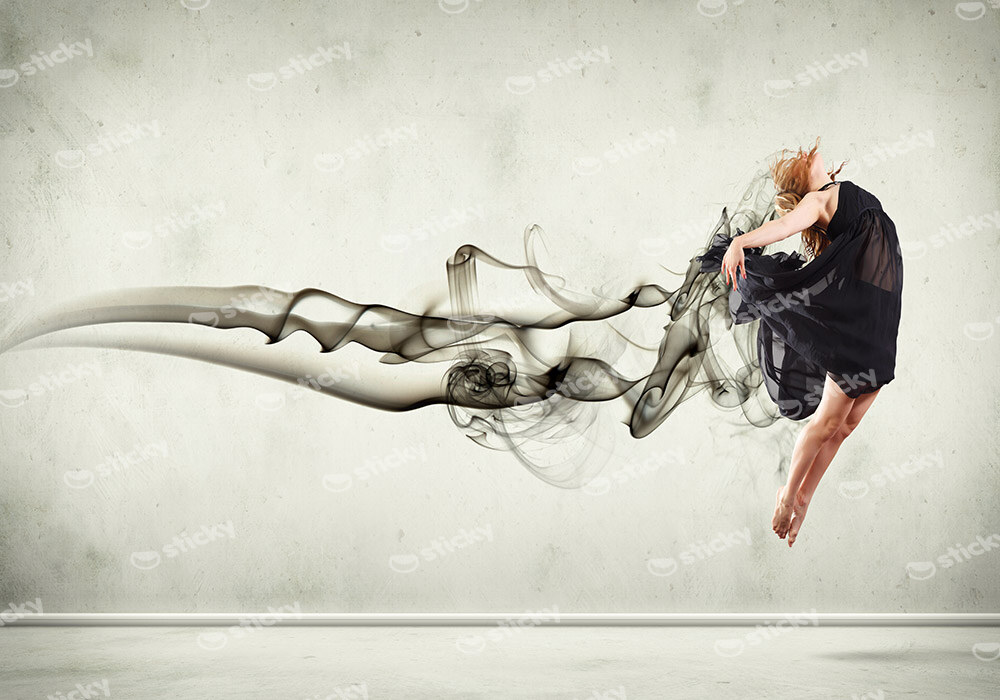 Πινακας σε καμβά FLY DANCE