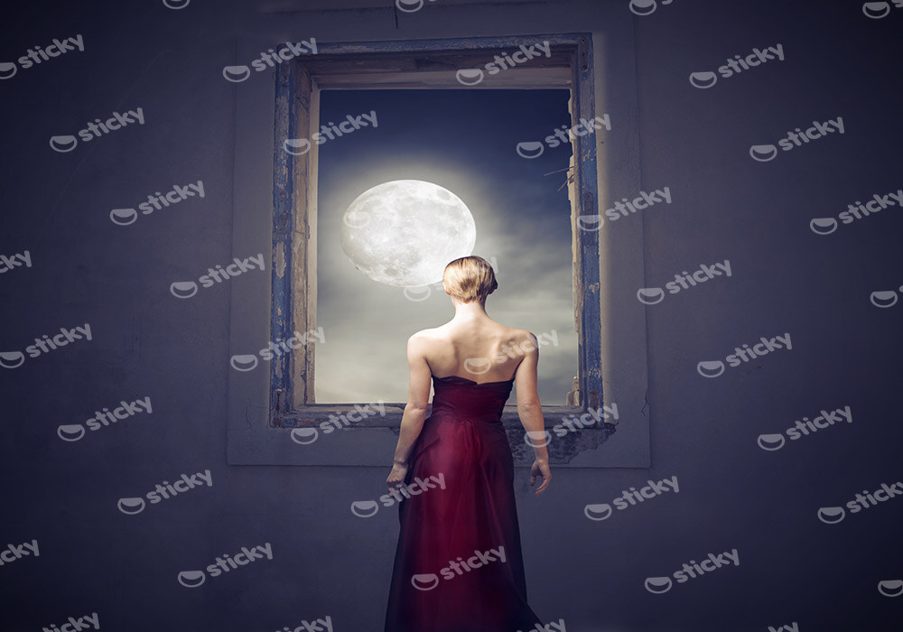 Πινακας σε καμβά MOON