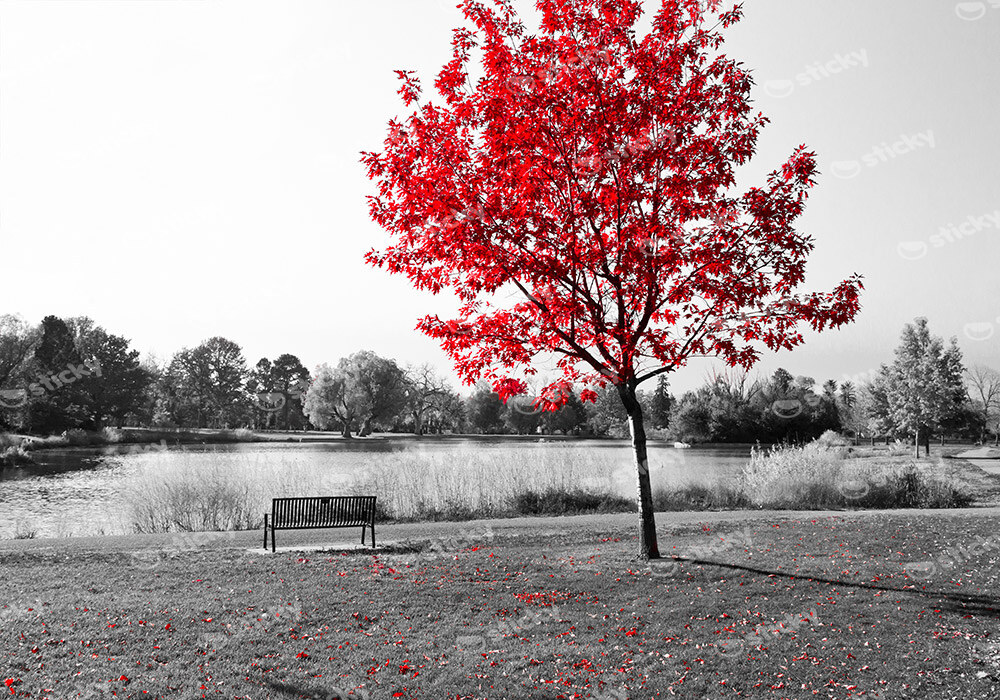 Πινακας σε καμβά PARK BENCH