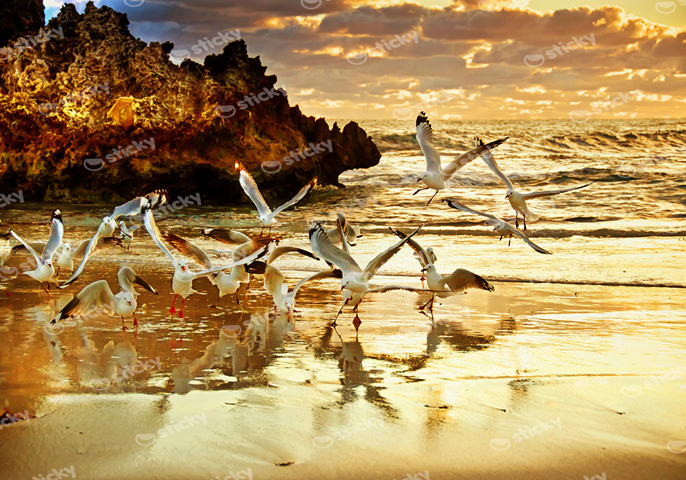 Πινακας σε καμβά ROCKS SUNSET