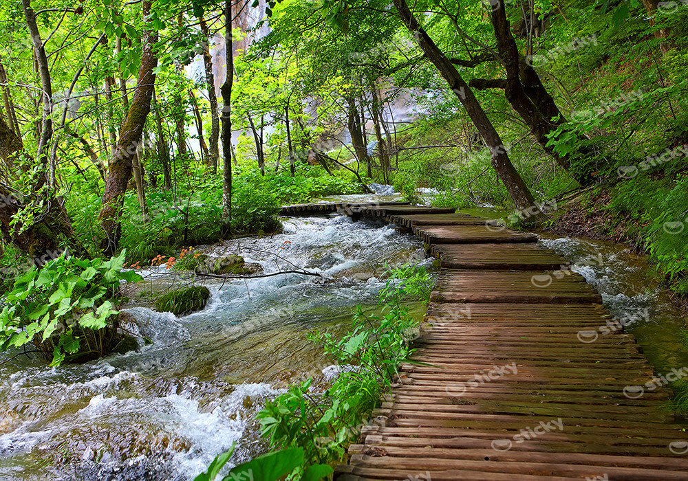 Πινακας σε καμβά WOODEN PATH