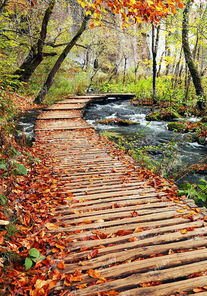 Πινακας σε καμβά AUTUMN COLOURS