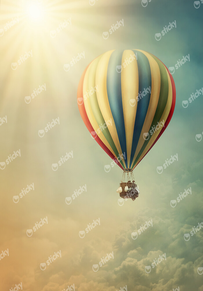 Πινακας σε καμβά HOT AIR BALLOON IN THE SKY