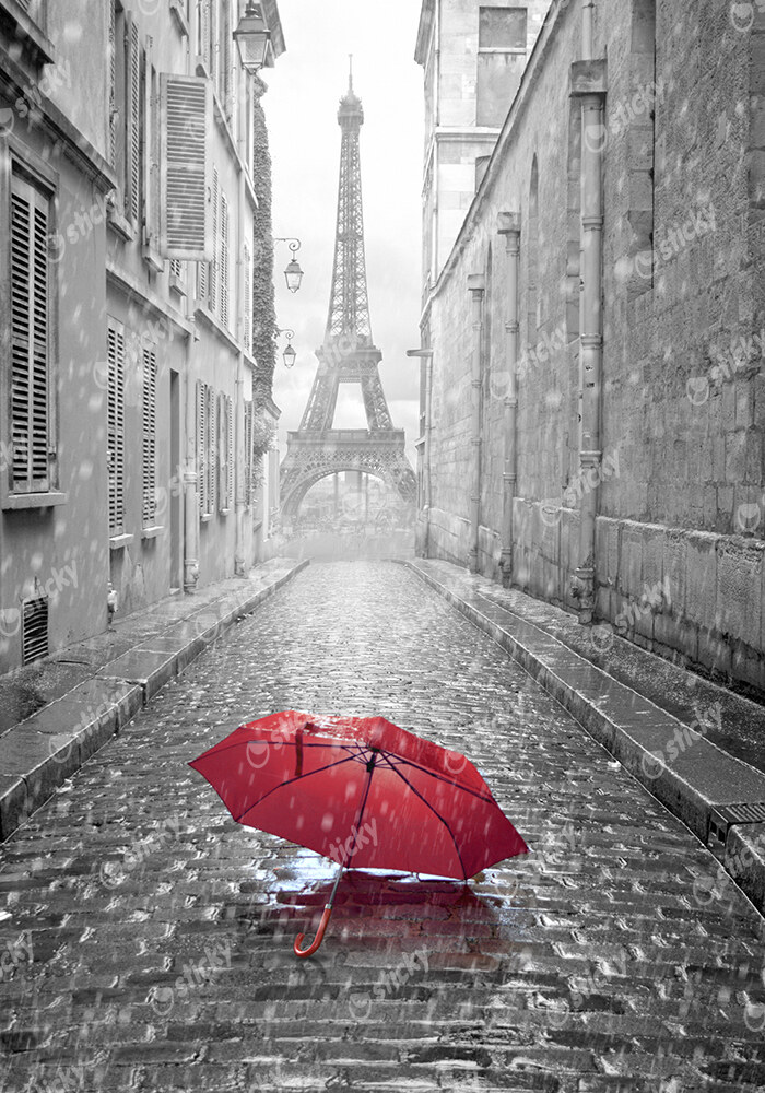 Πινακας σε καμβά PARIS RAIN 2
