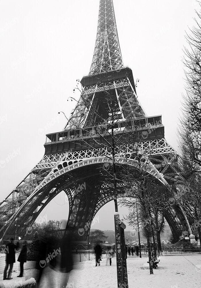 Πινακας σε καμβά SNOW EIFFEL