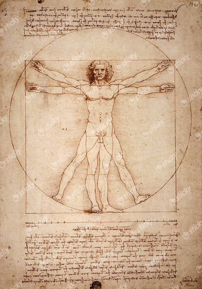 Πινακας σε καμβά DA VINCI - VITRUVIAN MAN