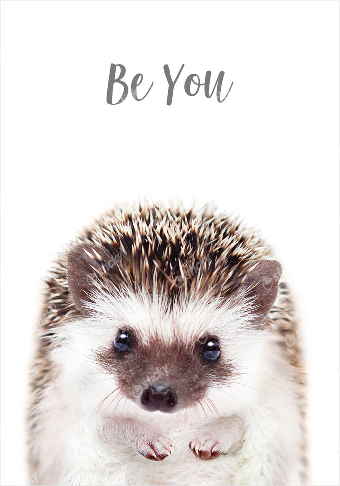 Πόστερ CUTE HEDGEHOG