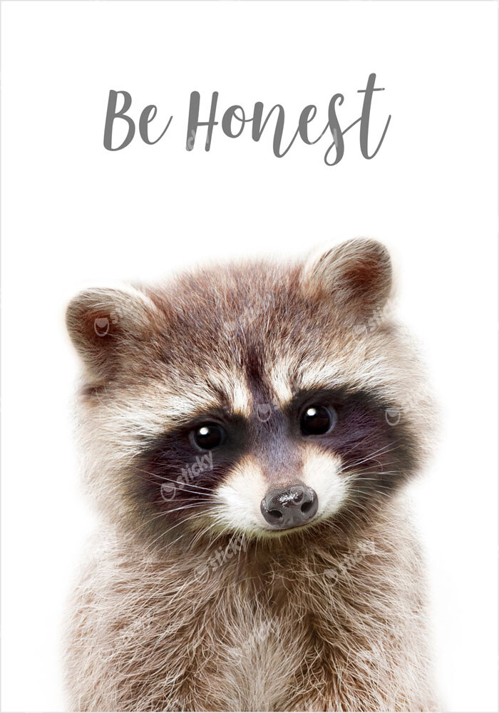 Πόστερ CUTE RACOON