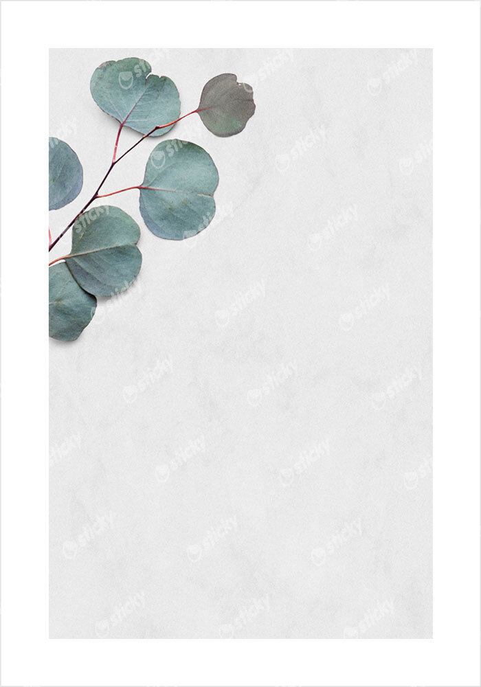 Πόστερ EUCALYPTUS LEAVES