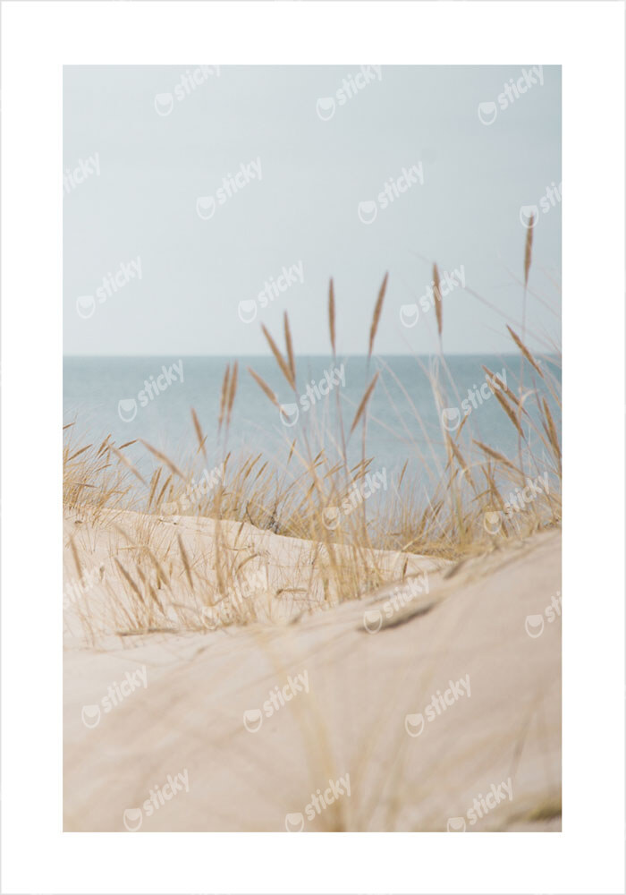 Πόστερ WHITE SAND DUNES