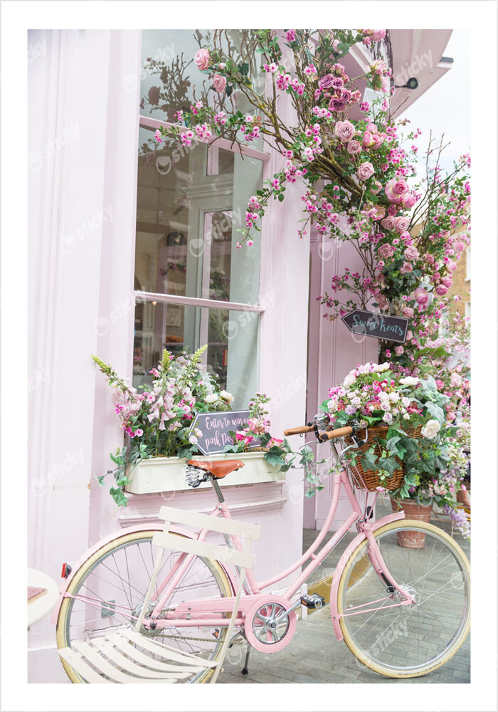 Πόστερ PINK BICYCLE
