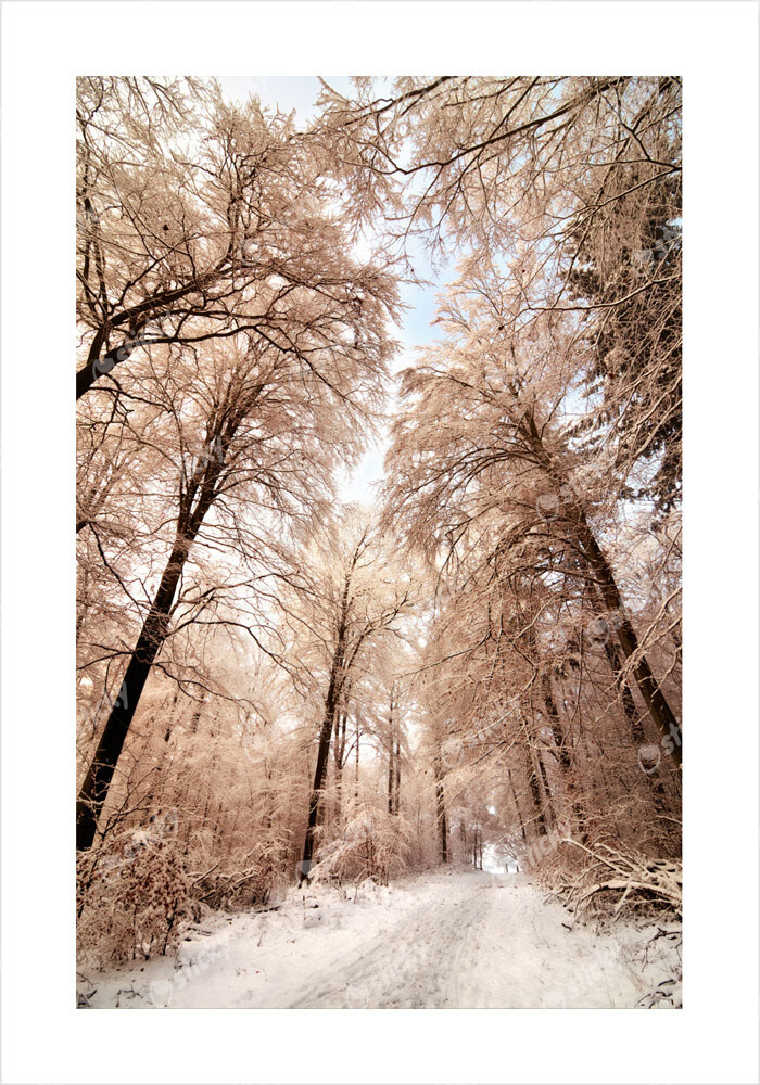 Πόστερ BEIGE WINTER FOREST