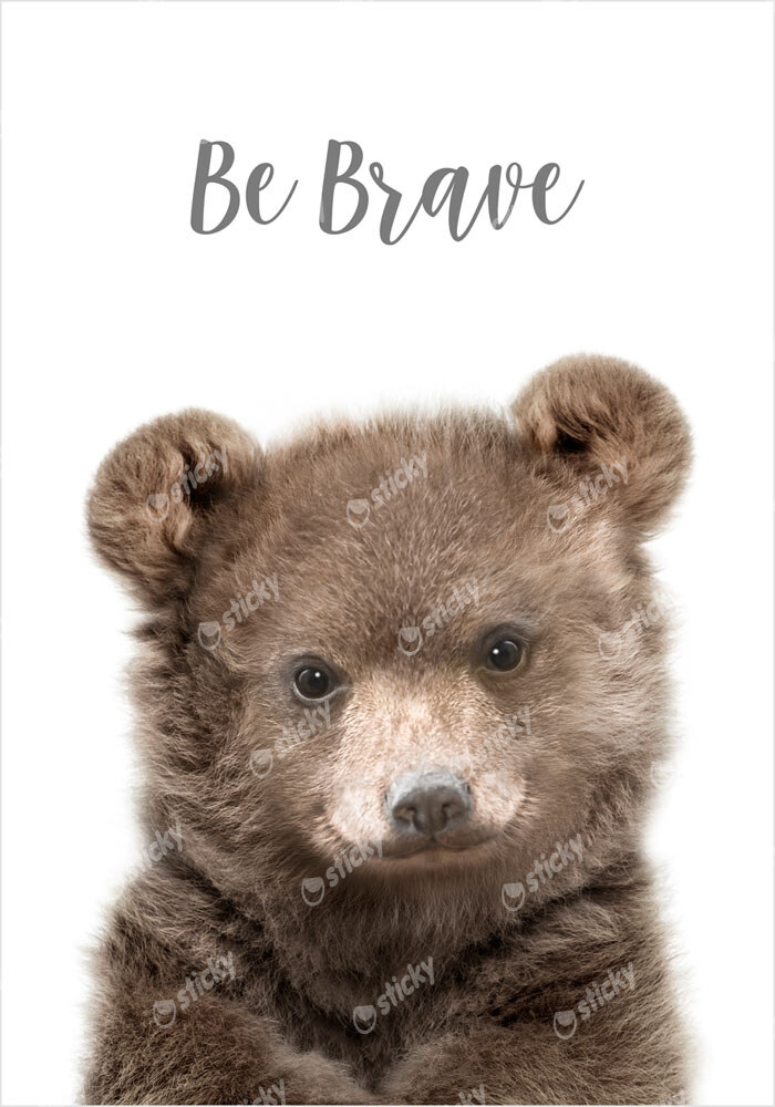 Πόστερ CUTE BEAR
