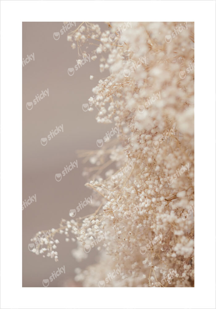 Πόστερ BLURRED WHITE FLOWERS