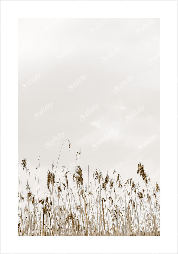 Πόστερ MINIMAL NATURE