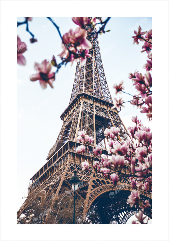 Πόστερ BLOSSOMING MAGNOLIA EIFFEL TOWER